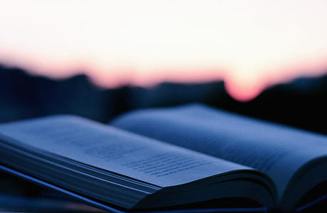 white book thumbnail