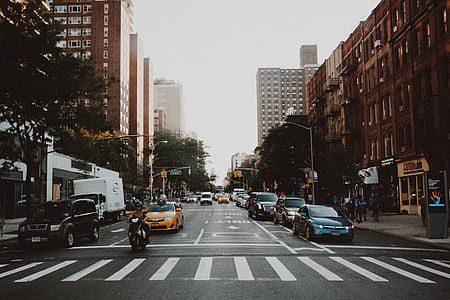 cars beside asphalt road during daytime thumbnail