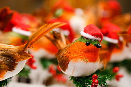 selective focus photography of white and multicolored bird figure thumbnail
