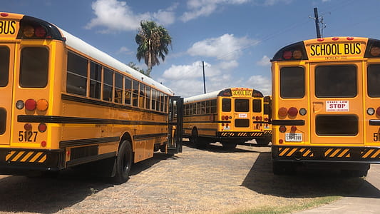 three yellow school buses parked outdoors during daytime thumbnail