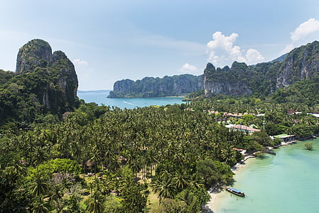 aerial view of green trees thumbnail