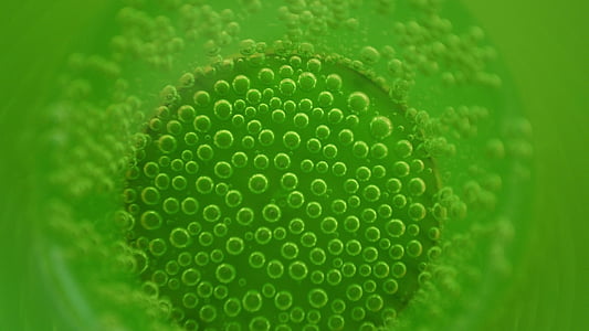 green water bubbles thumbnail