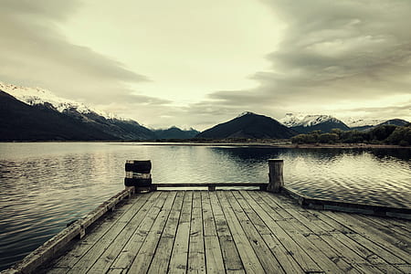 wood, dawn, landscape, nature thumbnail