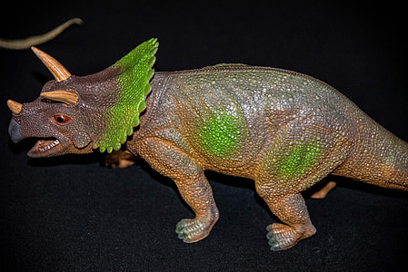 Triceratops Dinosaur thumbnail
