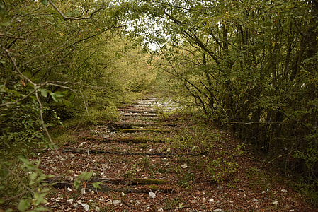 Abandoned Railroad Trasse, Railway Line thumbnail