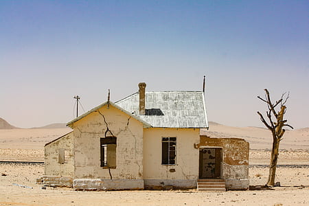 white concrete house beside brown tree trunk at daytime thumbnail