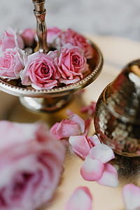 A tray of pink roses thumbnail