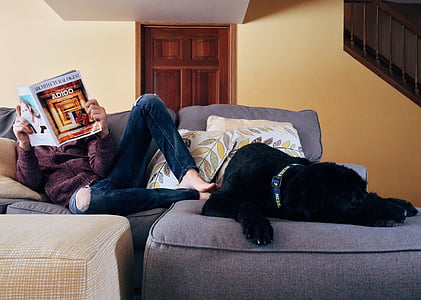 person reading book near short-coated black dog lying on gray sectional sofa in room thumbnail