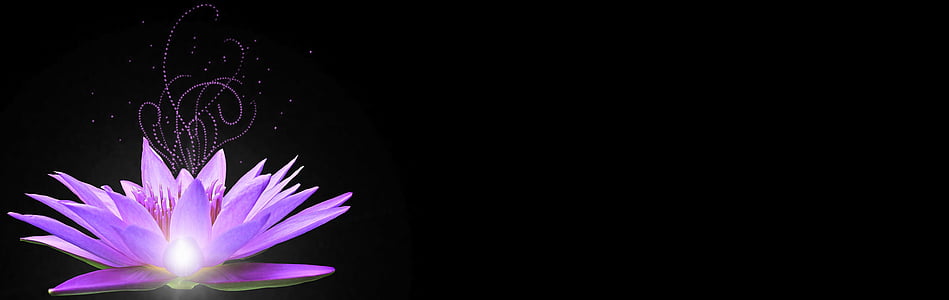 pink flowers illustration thumbnail