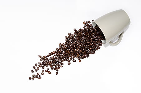 coffee beans near white ceramic mug thumbnail