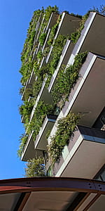 green plant potted in concrete plant box thumbnail
