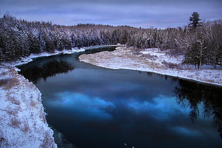 top view of body of water between trees thumbnail