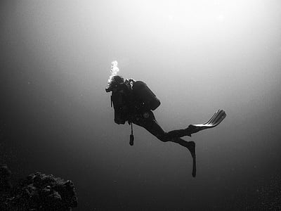 person diving underwater grayscale photo thumbnail