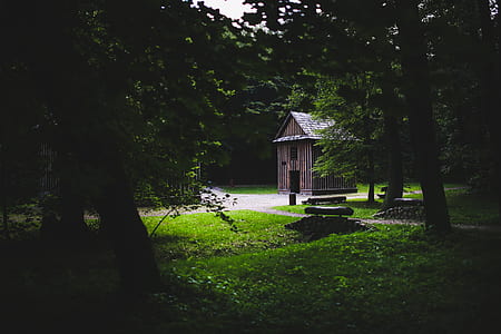 Wooden building in the forest thumbnail