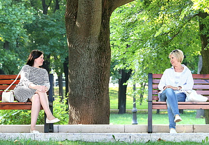 two women sitting on bench with tree in the middle thumbnail