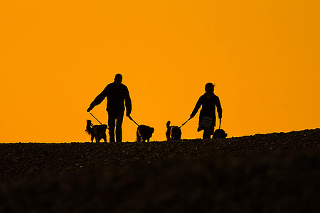 two person holding four pets thumbnail
