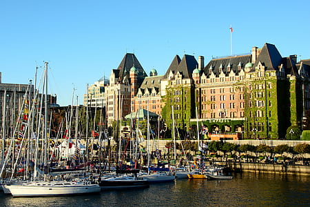 boats docked near building thumbnail
