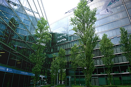 building, trees, glass, architecture thumbnail