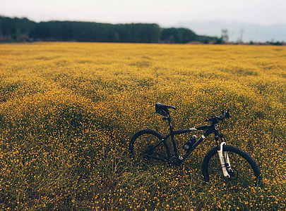 black mountain bike on grass fields with yellow flowers thumbnail