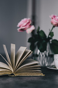 Lovely roseses, book and coffee thumbnail