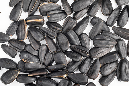 close-up photo of seed thumbnail