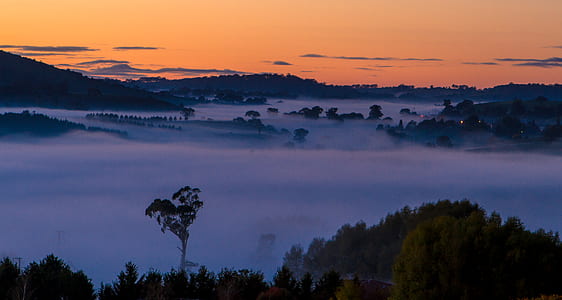 high-ground photo of tree-covered lands during foggy day thumbnail