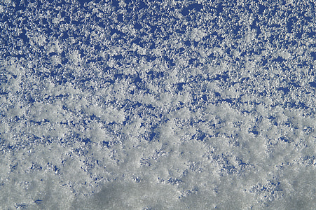 photo of white grains thumbnail