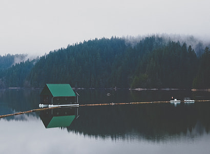 green and black house on lake during day time thumbnail