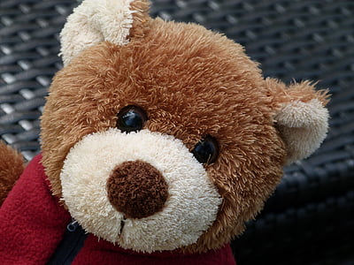 closeup photography of brown bear plush toy thumbnail