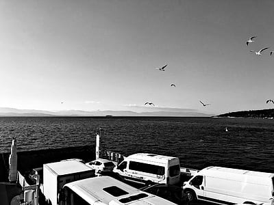 compact vans on dock thumbnail