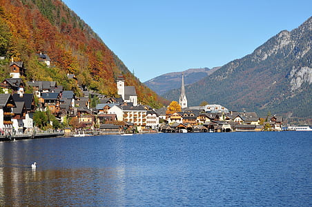 houses near body of water under blue calm sky thumbnail