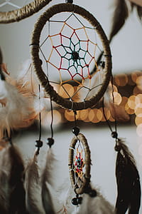 Closeup Photography of Brown Dream Catcher thumbnail