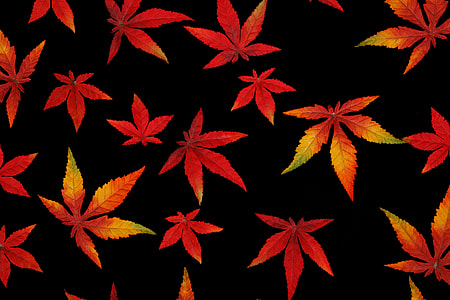 red cannabis wallpaper thumbnail