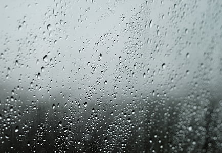 selective focus photography of water dew thumbnail