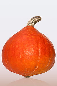 orange vegetable with white background thumbnail