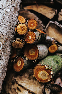 Wooden logs thumbnail