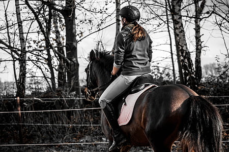 woman riding on horse thumbnail