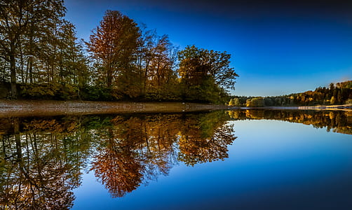 brown trees beside lake during daytime thumbnail
