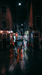 people walking on alley while carrying umbrella during rainy nighttime thumbnail