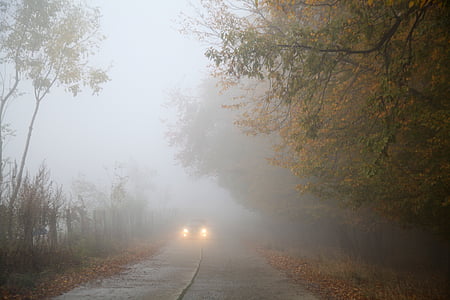 car on road covered with fogs thumbnail