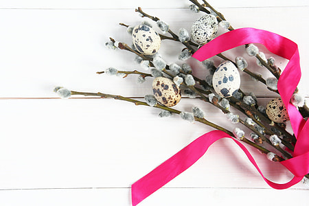 quail eggs thumbnail