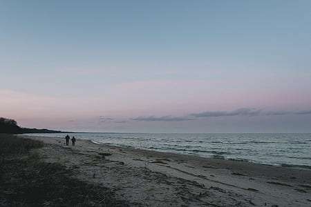 person walking on seashore thumbnail