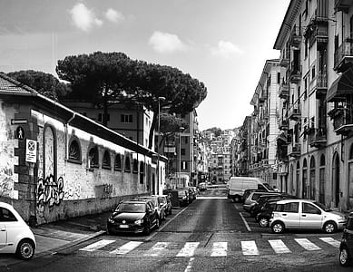 black-and-white, city, cars, road thumbnail