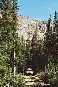 gray vehicle surrounded by green trees front of gray mountain at daytime thumbnail