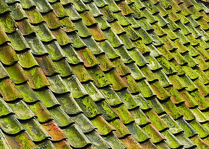 green tiled roof thumbnail