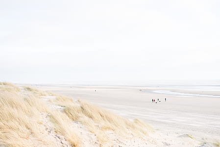 people on seashore thumbnail