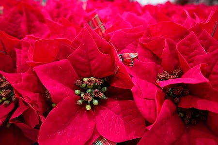 red artificial flower lot thumbnail