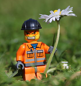 closeup photo of minifig standing beside white aster flower thumbnail