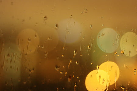 bokeh photography of rain drops thumbnail