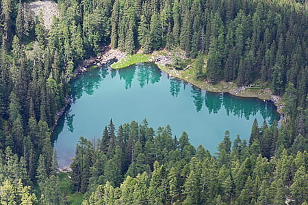 calm body of water surrounded by trees thumbnail